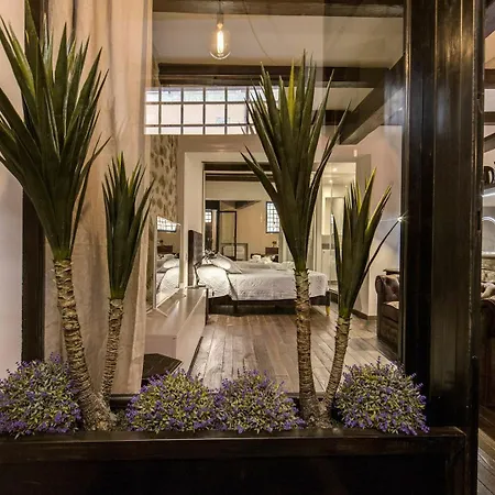 Trinità Dei Monti Appartement *